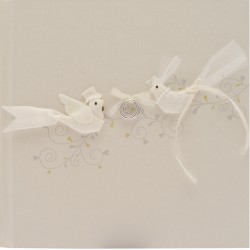 ΑΛΜΠΟΥΜ ΦΩΤΟΓΡΑΦΙΩΝ ΓΑΜΟΥ