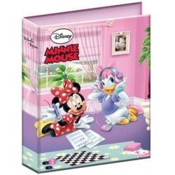 ΚΛΑΣΕΡ ΣΧΟΛΙΚΟ 17*25 GIM