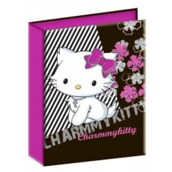 ΚΛΑΣΕΡ ΣΧΟΛΙΚΟ 17*25 GIM