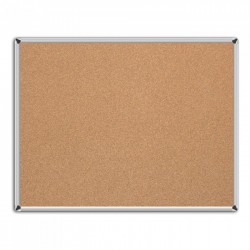 ΠΙΝΑΚΑΣ ΦΕΛΛΟΥ 90*120