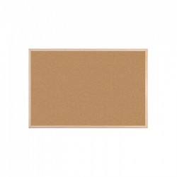 ΠΙΝΑΚΑΣ ΦΕΛΛΟΥ 60*90