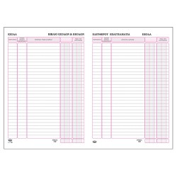 ΒΙΒΛΙΟ ΕΣΟΔΩΝ -ΕΞΟΔΩΝ 100φ ΤΥΠΟΤΡΑΣΤ