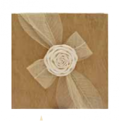 ΑΛΜΠΟΥΜ ΦΩΤΟΓΡΑΦΙΩΝ SPADI